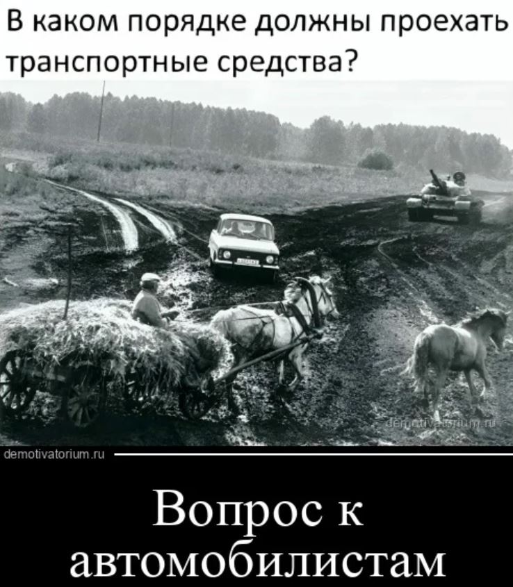 Картинки с приколами для поднятия настроения Картинки с приколами для поднятия настроения