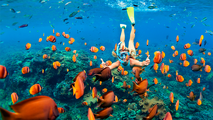 ТУРЦИЯ В ПРОЛЁТЕ: РУССКИЕ ТУРИСТЫ НАЗВАЛИ НЕДОРОГИЕ СТРАНЫ ДЛЯ КОМФОРТНОГО ОТДЫХА россия