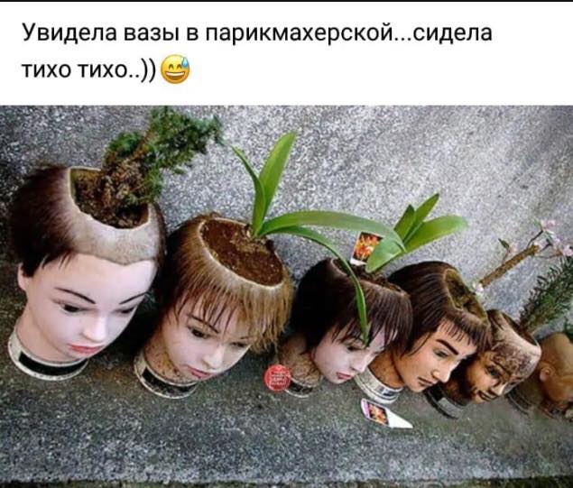 Она, как эхо, отдалась в горах Она, как эхо, отдалась в горах анекдоты