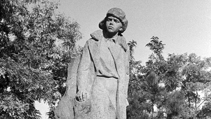 Как 14-летний Володя Дубинин спас партизанский отряд ﻿