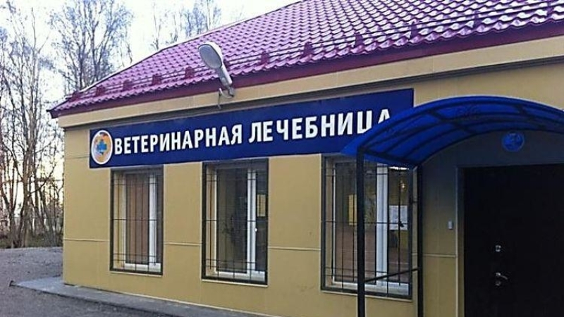 В Калининграде украли коробку с пожертвованиями из ветклиники