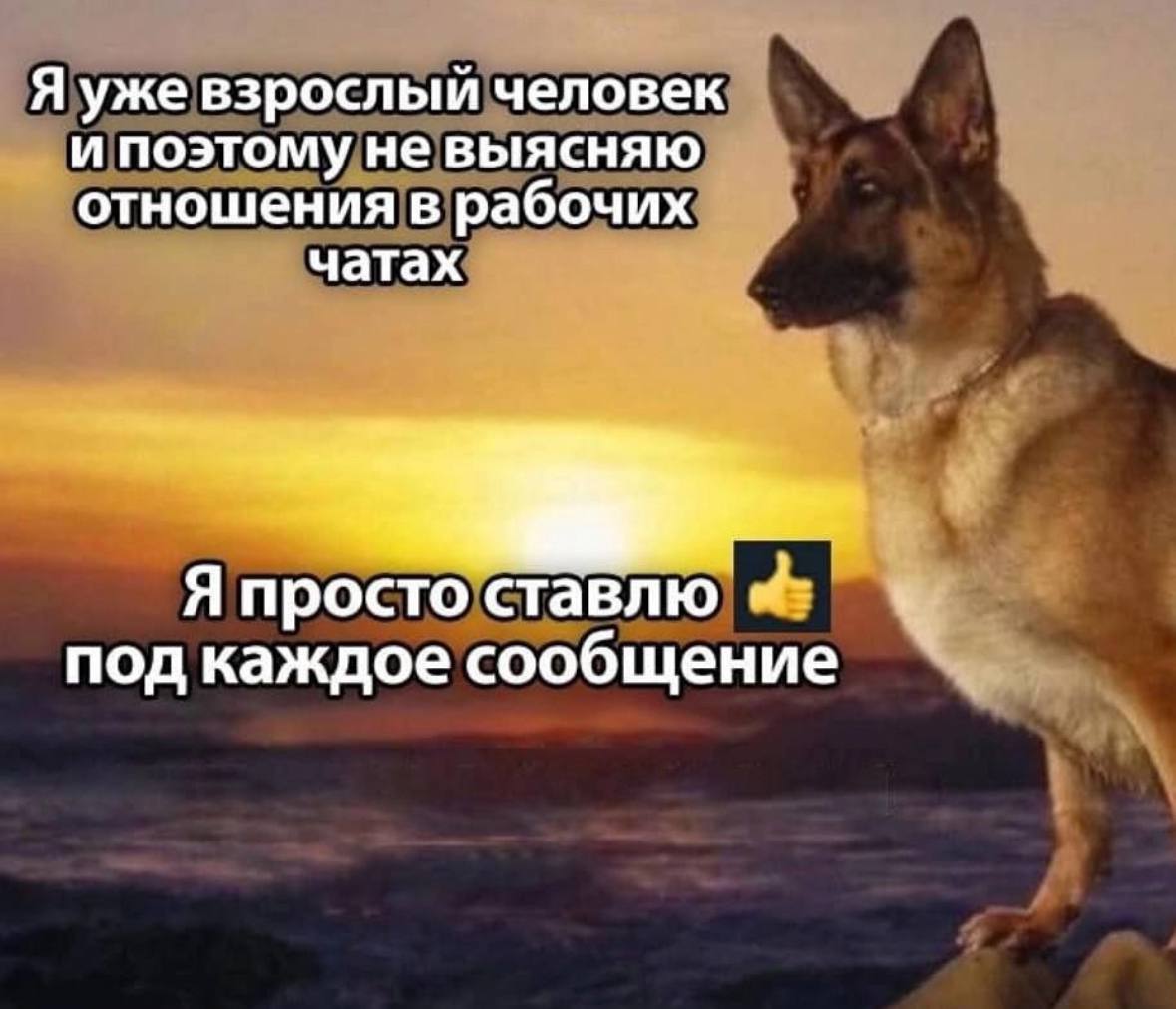 Мемы с котиками, разные смешные картинки и позвоночник 
