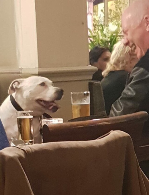 Подборка смешных картинок  смешные картинки