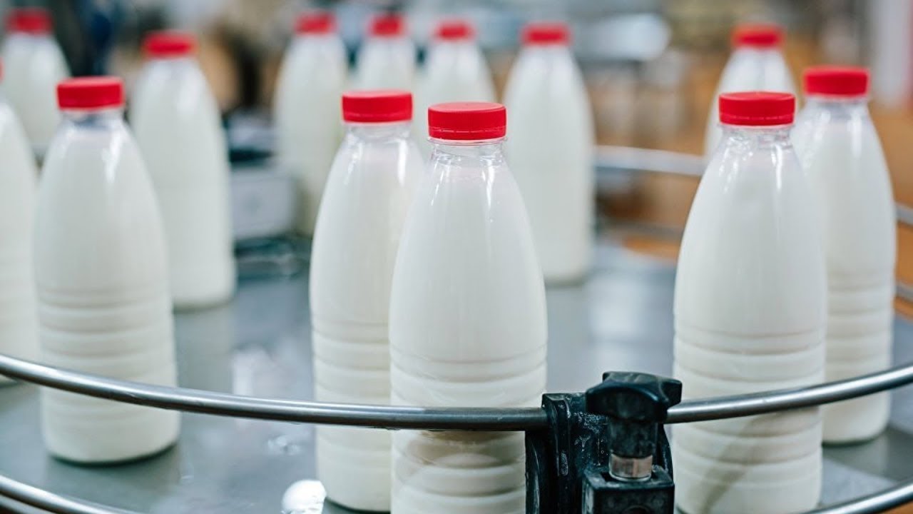 Россельхознадзор: доля Белоруссии составляет 86% общего объема поставок молочной продукции в Россию Россельхознадзор: доля Белоруссии составляет 86% общего объема поставок молочной продукции в Россию