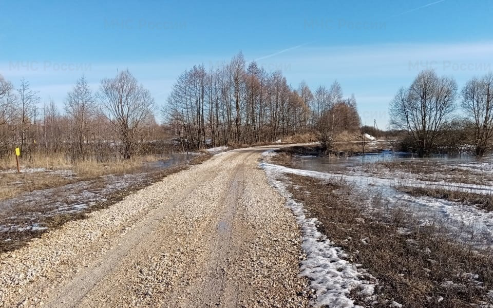 Семь мостов может подтопить в Рязанской области 27 марта