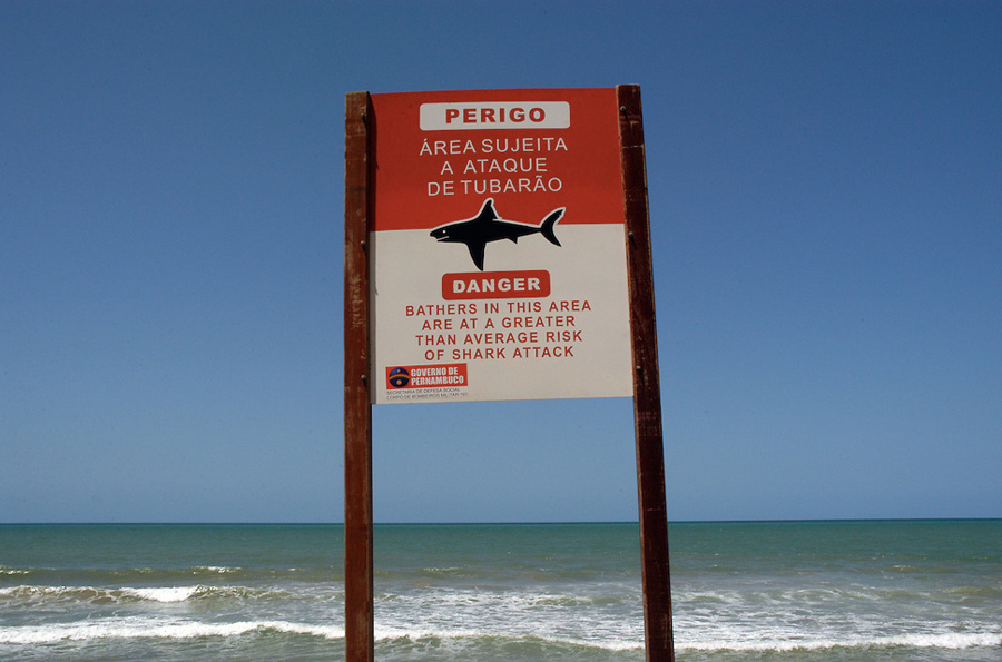 Боа-Виажем, Бразилия
Этот популярный пляж в Ресифи считается одним из самых красивых в мире. Но не стоит спешить любоваться его красотой из воды. С 1992 году сюда частенько стали наведываться акулы. Число одних только зарегистрированных нападений перевалило за 50, 19 из них — с летальным исходом. Экологи утверждают, что миграция происходит прежде всего по вине рыбаков, которые смещают с каждым годом зону рыбной ловли ближе к берегу.