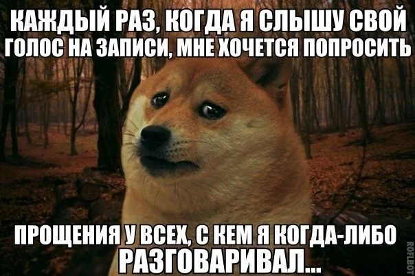 Почему нам всем так противно слушать собственный голос в записи? голоса, голос, людей, недовольны, колебания, языке, слышим, запись, которые, ожидаемого, также, голосов, услышат, свой В, результате, проведенного, записывал, опроса, большая, часть