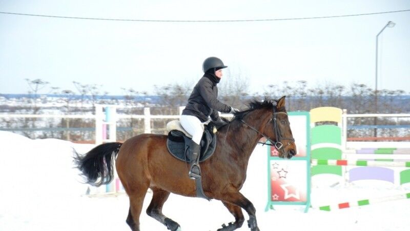Лошадь из частной конюшни раздавила девочку в Ивановской области