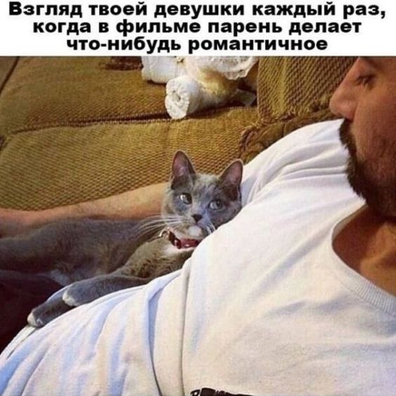 - Дорогой, будешь еще котлетку?  - Конечно, дорогая... Весёлые,прикольные и забавные фотки и картинки,А так же анекдоты и приятное общение