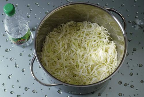 Салат из свежей капусты, как в столовой. Как приготовить салат из капусты, как в столовой — простой рецепт классического салата из свежей капусты и моркови с пошаговыми фото