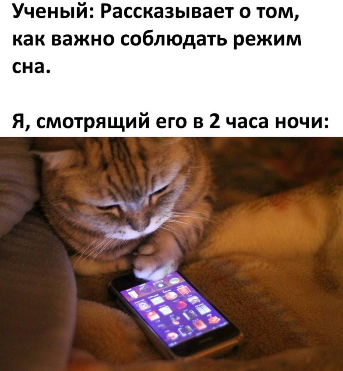 Мемы с котиками, разные смешные картинки и позвоночник 