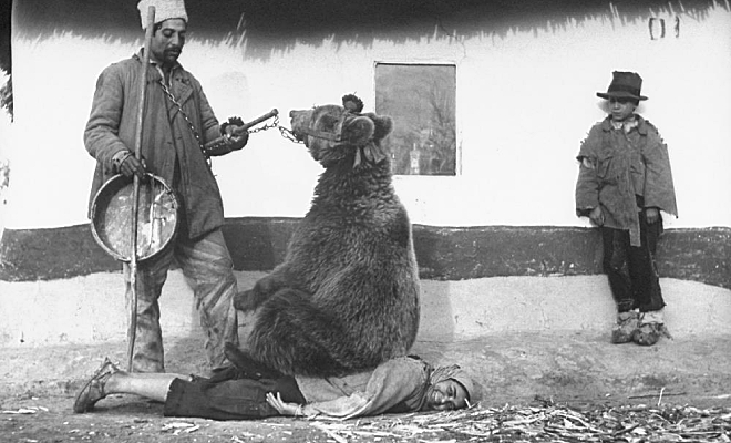 Фото из 1946 года: цыган в Румынии лечит спину женщины медведем