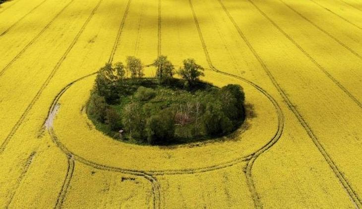 Прикольные мемы и картинки Прикольные мемы и картинки