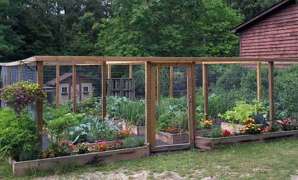 ВедаМост: Огород без перекопок - высокие грядки | Огород, Органическое садоводство, Севооборот