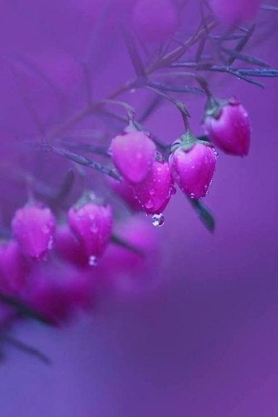 Подборка забавных фотографий и смешных картинок из нашей жизни Подборка забавных фотографий и смешных картинок из нашей жизни красивые фотографии,прикольные картинки,шикарные фотографии