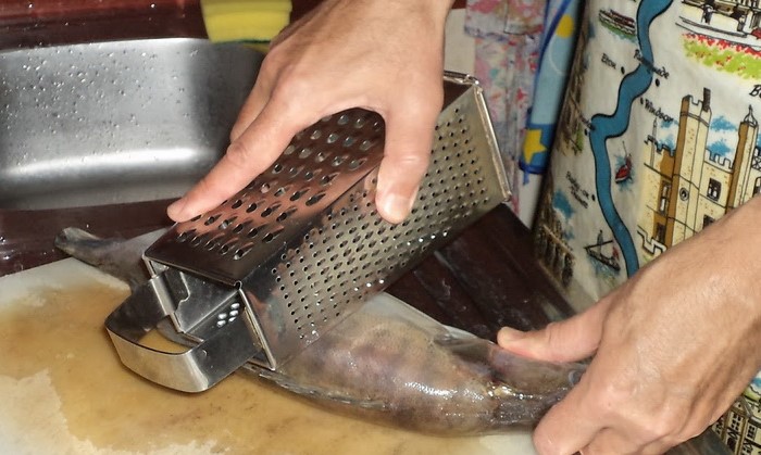 Терка с мелкими «капельками» - отличный инструмент для чистки рыбы / Фото: opyt-of-woman.com