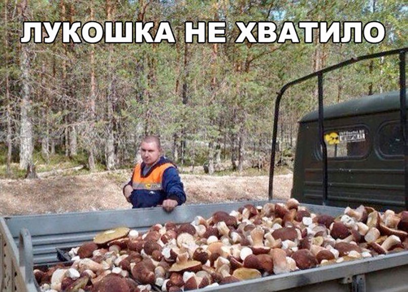 Веселые истории 