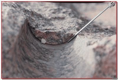 Саркофаги Серапеума Саркофаги Серапеума