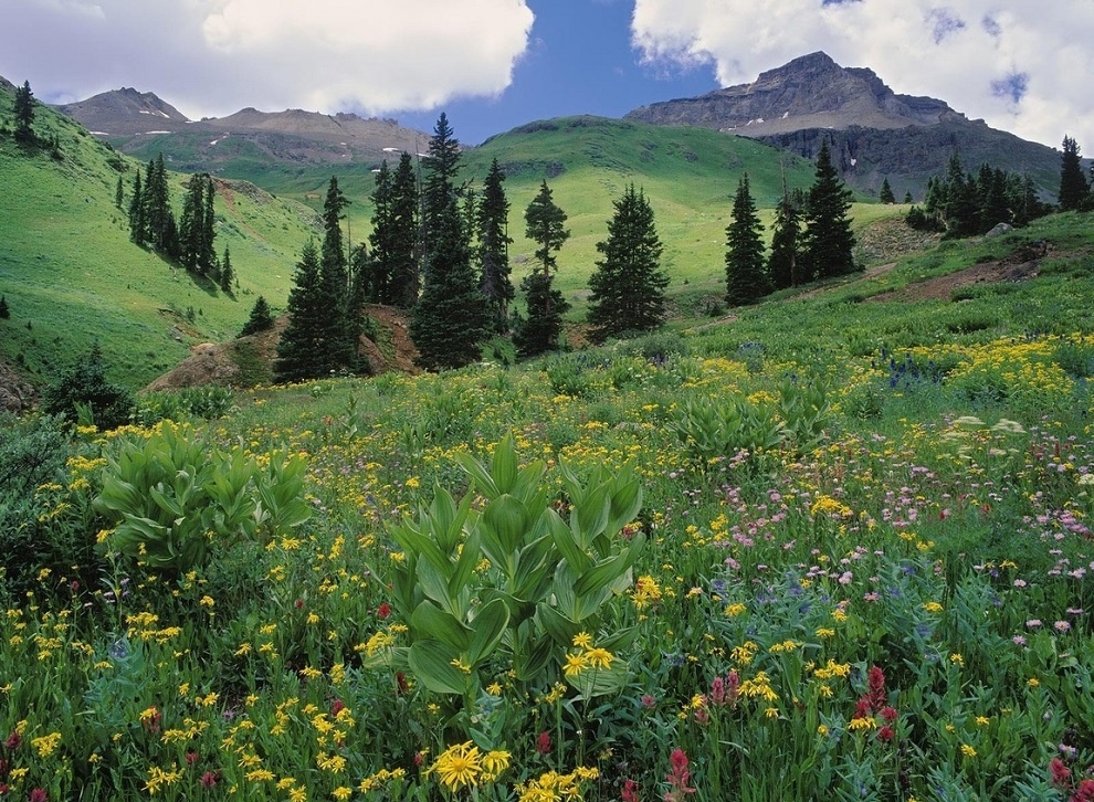 ÐÐ½Ð¾Ð³Ð¸Ðµ Ð»ÑÐ´Ð¸ ÑÑÐ¸ÑÐ°ÑÑ, ÑÑÐ¾ ÐÐ»ÑÐ¿Ð¸Ð¹ÑÐºÐ¸Ðµ Ð»ÑÐ³Ð° ÑÐ°ÑÐ¿Ð¾Ð»Ð°Ð³Ð°ÑÑÑÑ Ð¸ÑÐºÐ»ÑÑÐ¸ÑÐµÐ»ÑÐ½Ð¾ Ð² ÐÐ»ÑÐ¿Ð°Ñ, Ð½Ð¾ ÑÑÐ¾ Ð½Ðµ ÑÐ°Ðº.