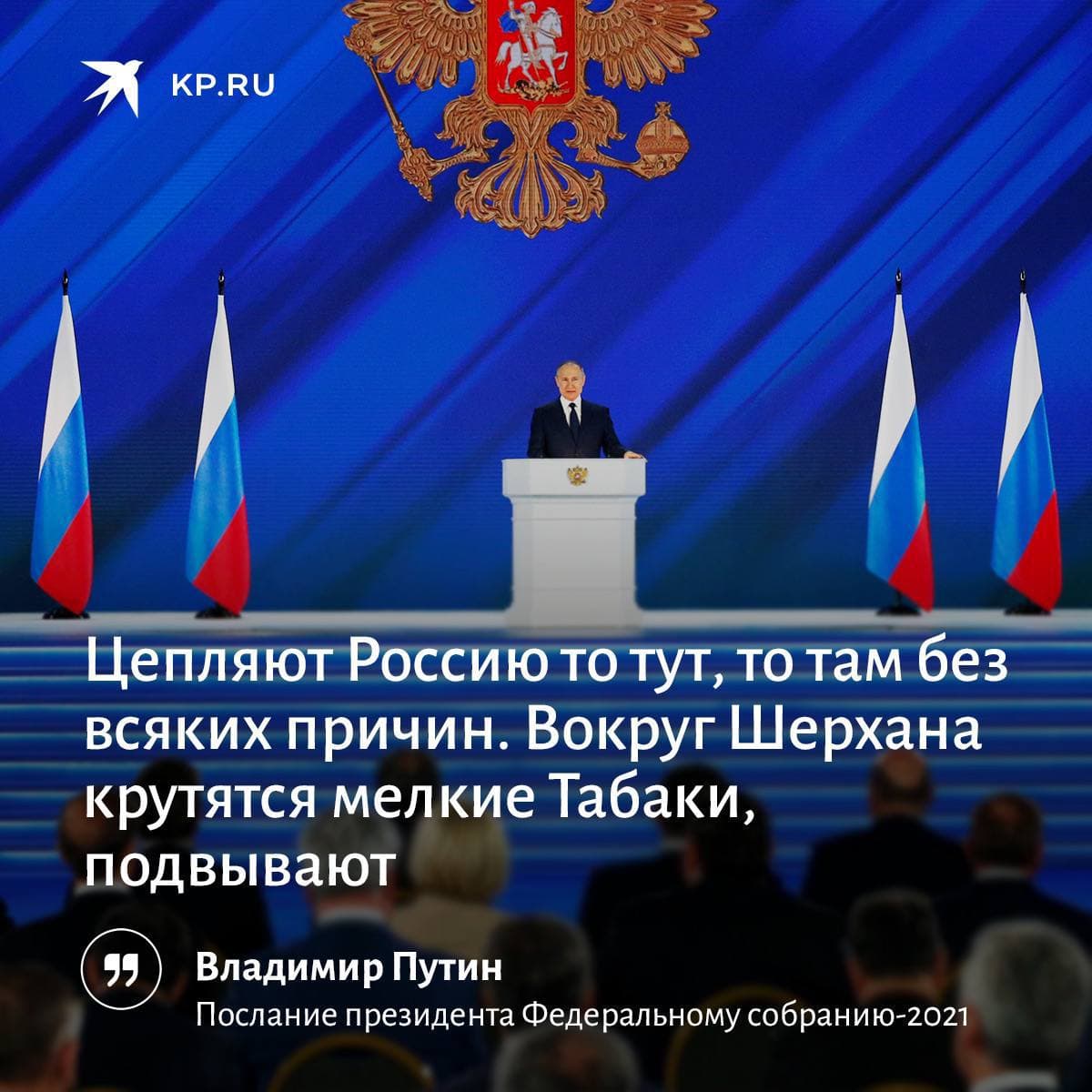 Детальный обзор послания президента РФ Федеральному собранию 21 апреля 2021 года россия