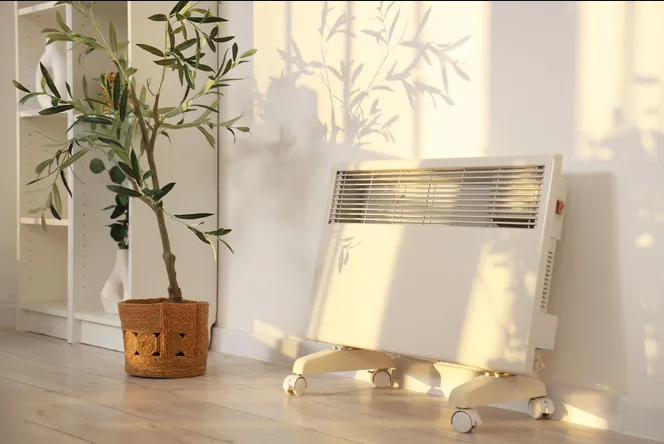 Комнатные растения, которым ни по чем жар от батареи