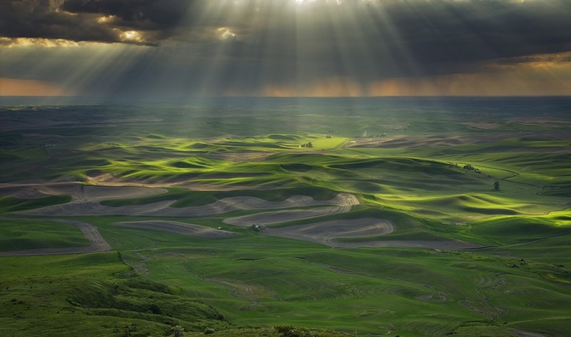 Немного прикольных картинок картинки, подборка картнок, прикол, юмор