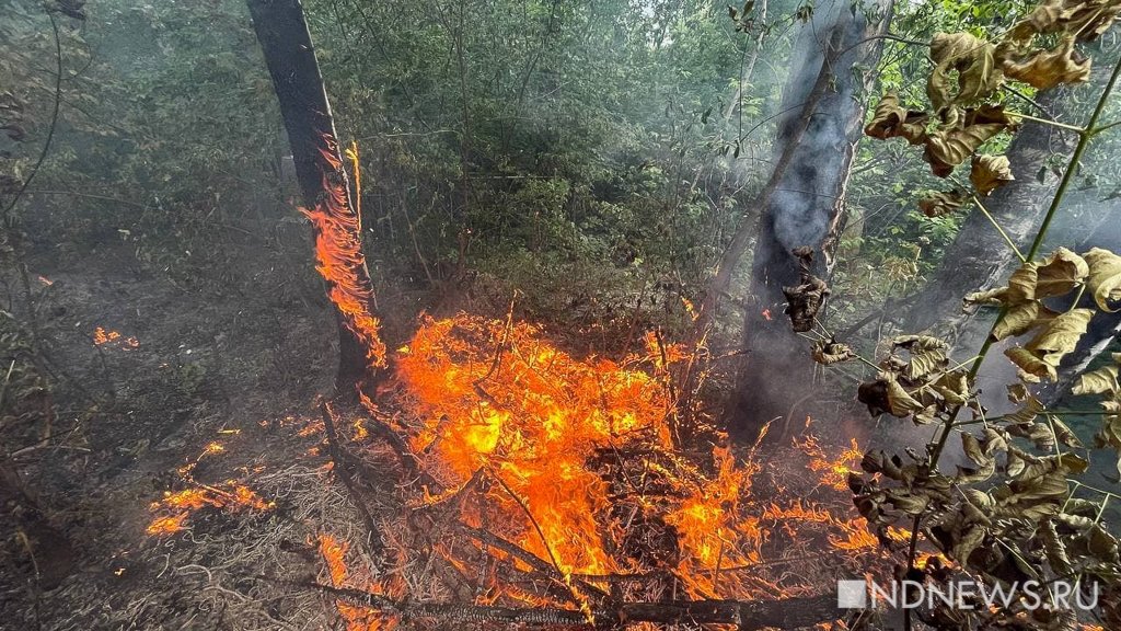 Фото пожаров свердловской области