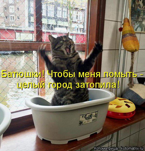 А я, оказывается, очень даже ничего! - сказала жизнь, посмотрев телевизор А я, оказывается, очень даже ничего! - сказала жизнь, посмотрев телевизор демотиваторы,животные,позитив,приколы,Смешные животные,юмор