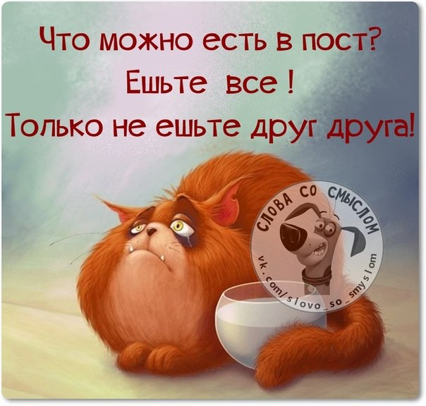 Как любит поговаривать мой психиатр: "Все в порядке, сдвиг есть." анекдоты,приколы,юмор