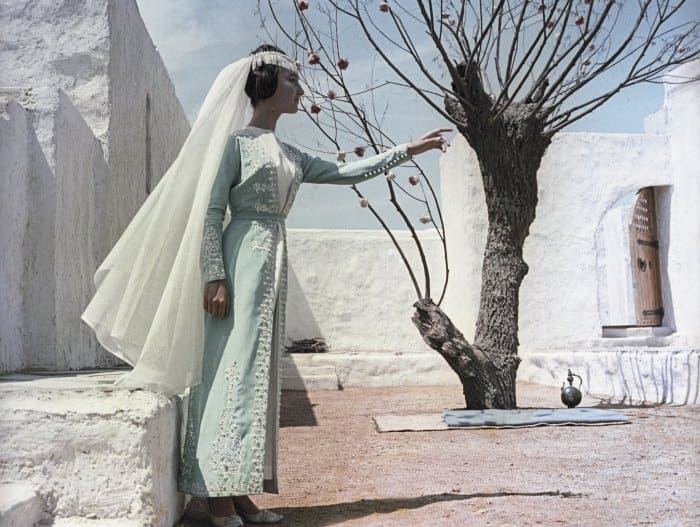 Царевна Будур в кадре и за кадром: Как сложилась судьба главной героини «Волшебной лампы Аладдина» Царевна Будур в кадре и за кадром: Как сложилась судьба главной героини «Волшебной лампы Аладдина» актриса,Додо Чоговадзе ,кино и тв,наши звезды,фильм,шоу,шоубиz,шоубиз