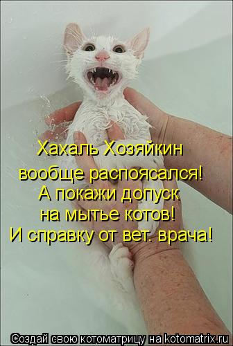 А я, оказывается, очень даже ничего! - сказала жизнь, посмотрев телевизор А я, оказывается, очень даже ничего! - сказала жизнь, посмотрев телевизор демотиваторы,животные,позитив,приколы,Смешные животные,юмор