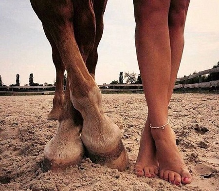 Год Лошади...