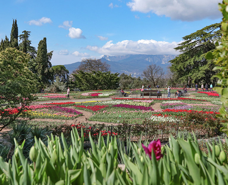 Парад тюльпанов в Никитском ботаническом саду, 27 марта – 10 апреля