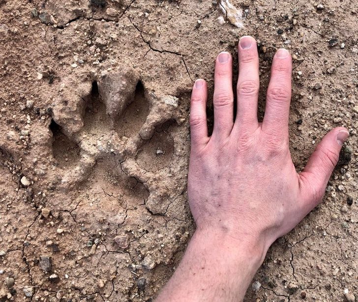 Вот как не планируй, а всё равно всё пойдет не по плану!