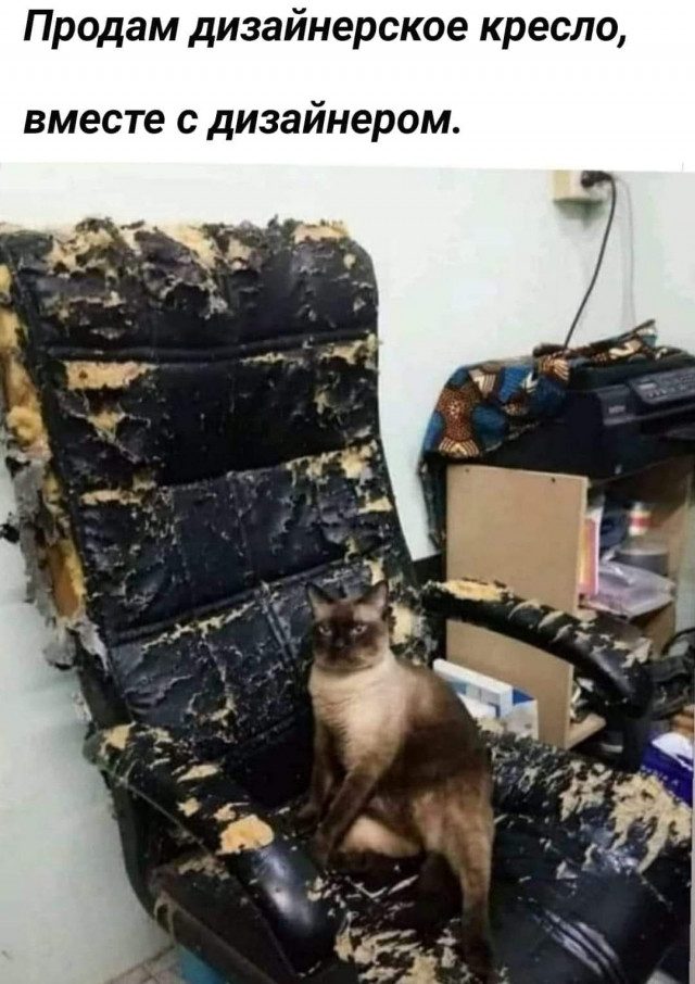 Ржачные картинки Ржачные картинки