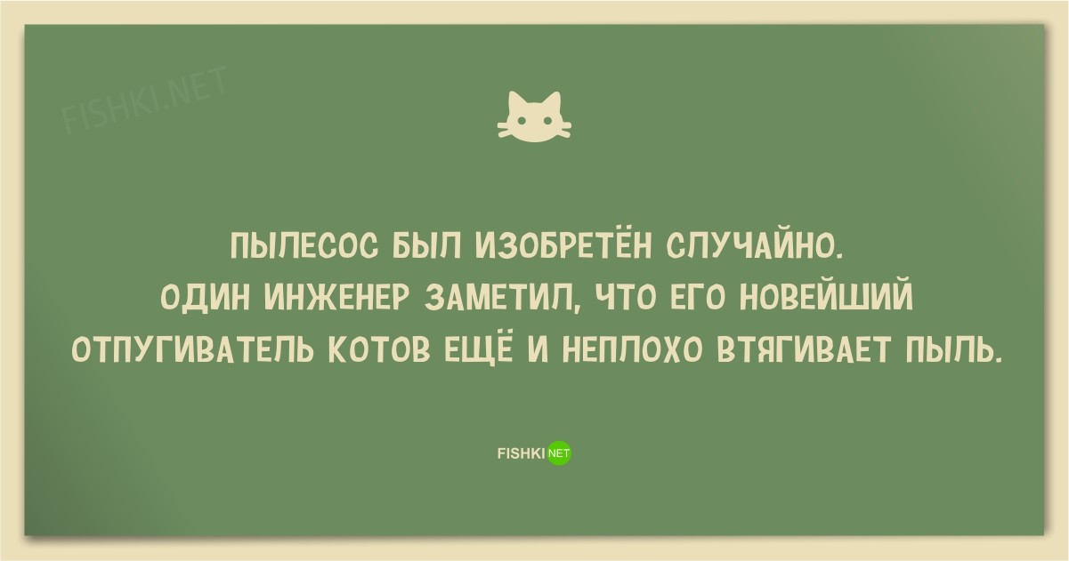 25 смешных анекдотов про кошек и котов