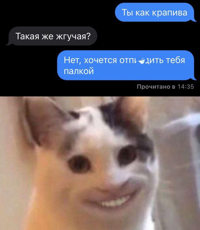 Подборка прикольных картинок Подборка прикольных картинок приколы,смешные картинки,юмор