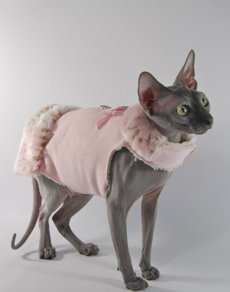 Одежда для котов сфинксов