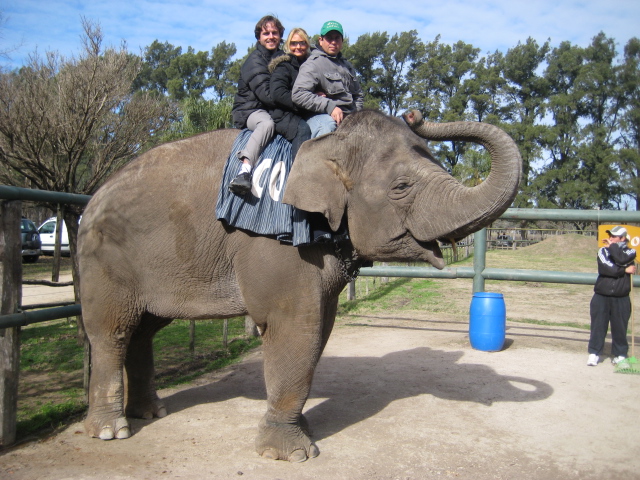 Самый опасный зоопарк в мире путешествие,страны,туризм