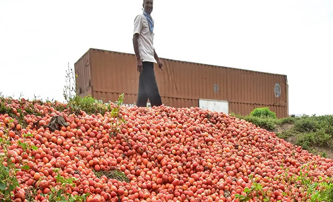 Мексиканский рабочий обманул физику: он бросал помидоры в ведре в машину, но оно само возвращалось назад