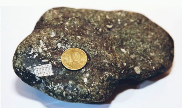 Размер микрочипа в сравнении с размером монеты