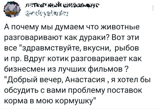 Прикольные комментарии: «У меня который год есть идея…» 