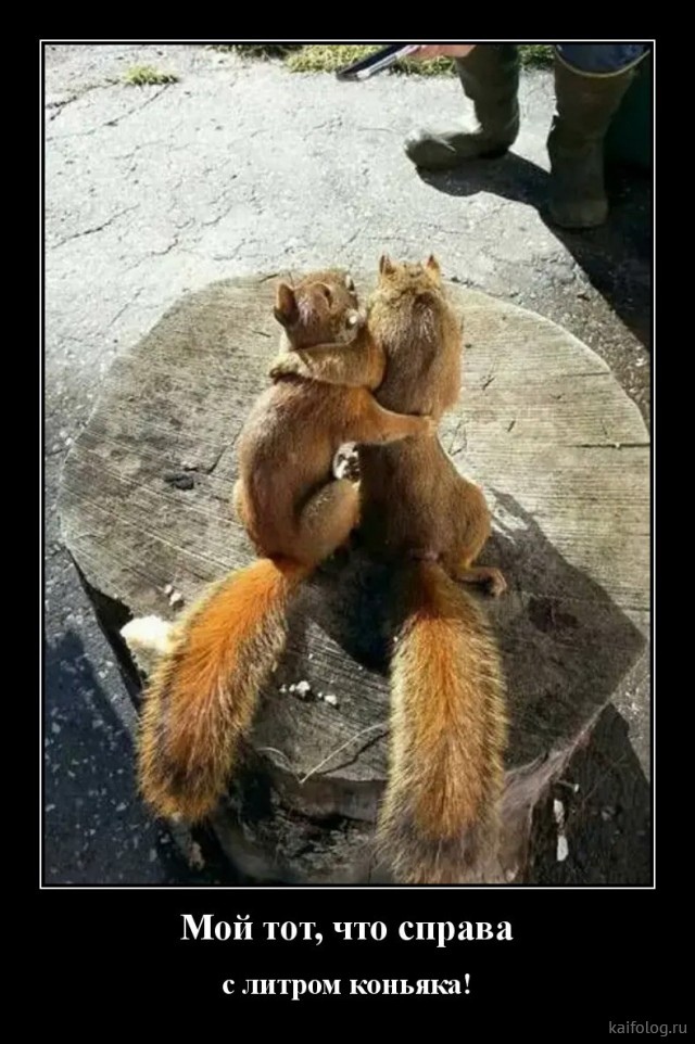 Юмор из интернета 776 Юмор из интернета 776 позитив,смех,улыбки,юмор