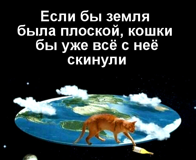 изображение: Если бы земля была плоской, кошки бы уже всё с неё скинули #Котоматрицы