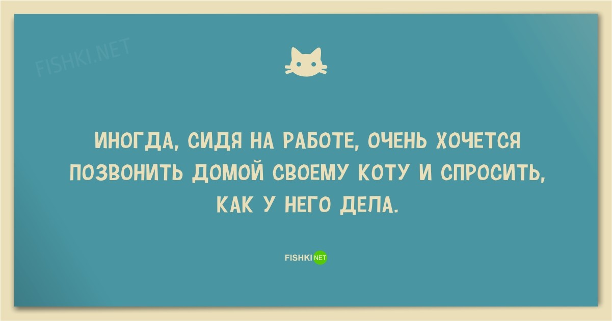 25 смешных анекдотов про кошек и котов