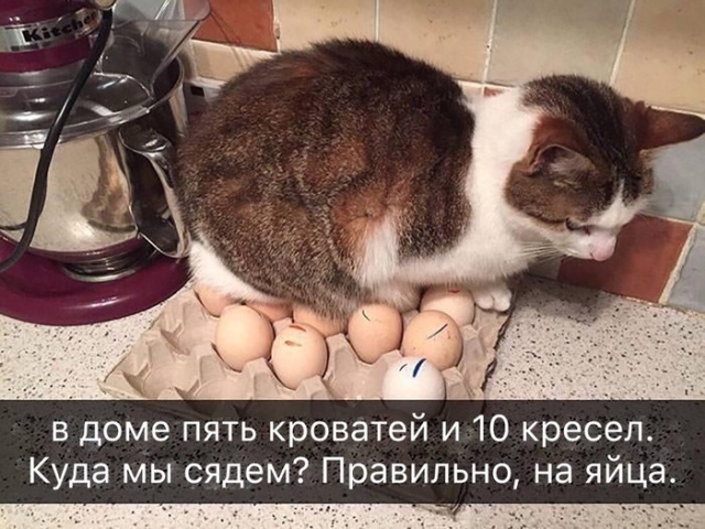 Подборка картинок с просторов интернета Подборка картинок с просторов интернета смешные картинки