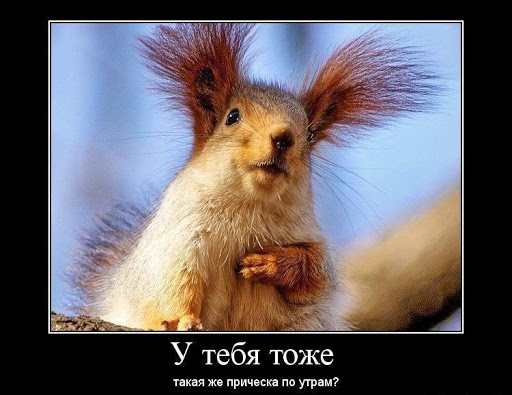 Подборка юмора, который творит чудеса с настроением 