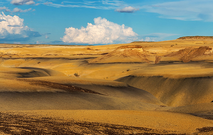 Пустыня днем. Фото: Alex Mironyuk.