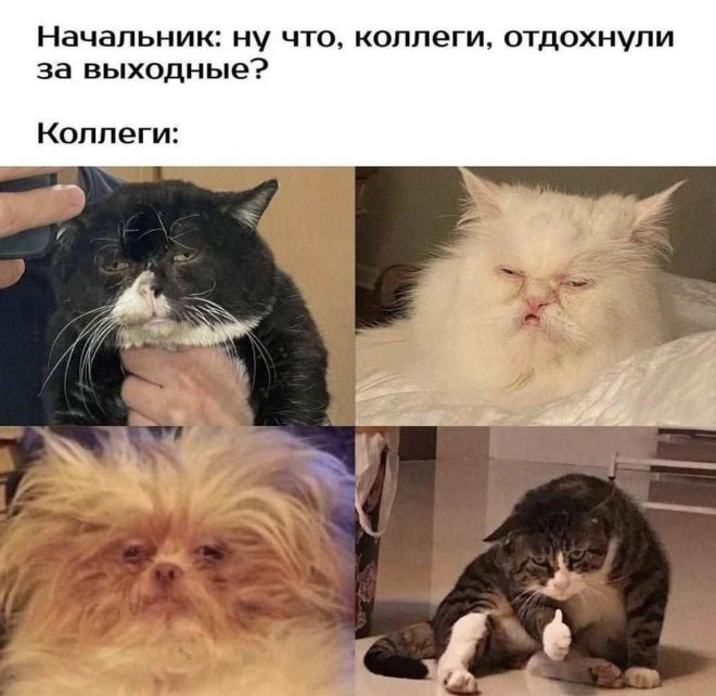 Бесит, когда люди не заканчивают свою мысль. Это всё равно что... 