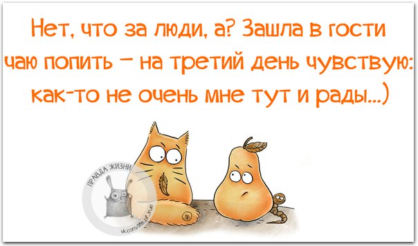 Веселые картинки с фразочками Веселые картинки с фразочками